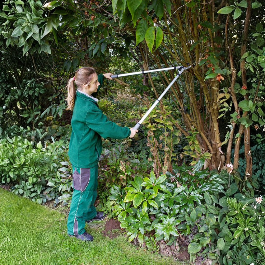 Burgon & Ball - RHS Telescopic Anvil Lopper – Compound Action Dead Woo