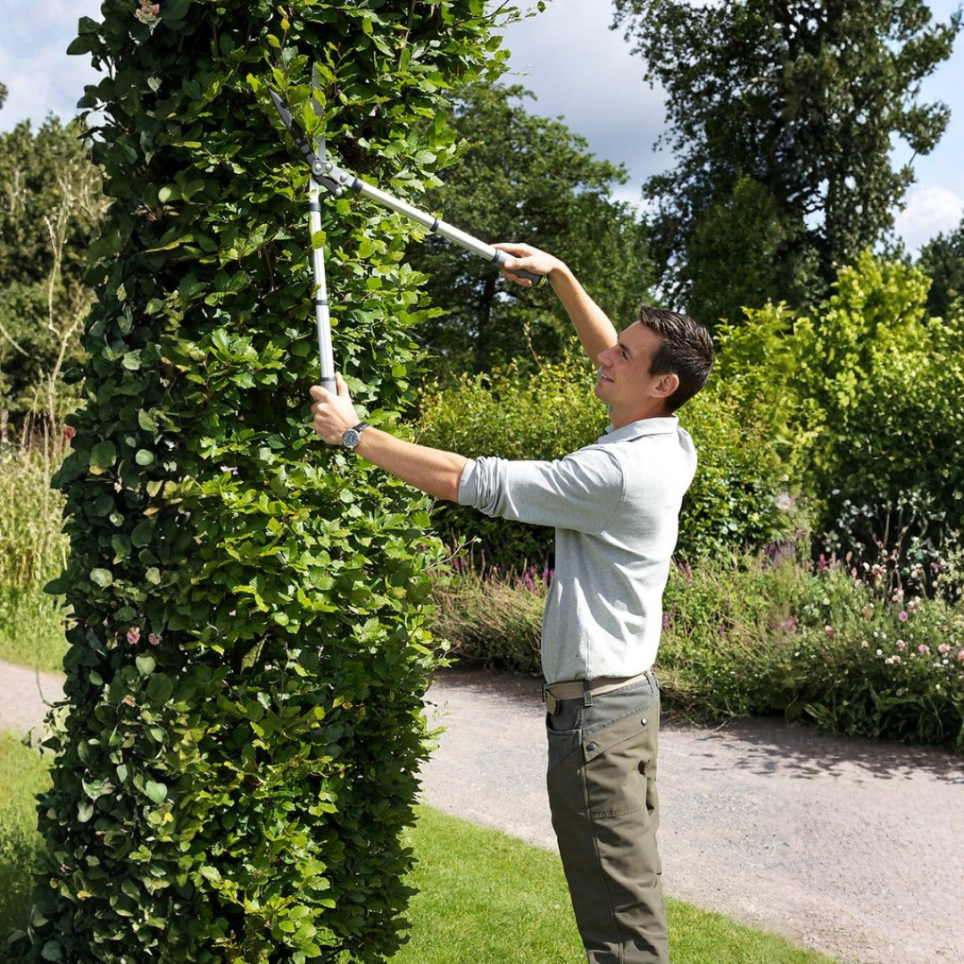 Burgon & Ball - RHS Telescopic Wavy Edged Hedge Shear – Extended Reach