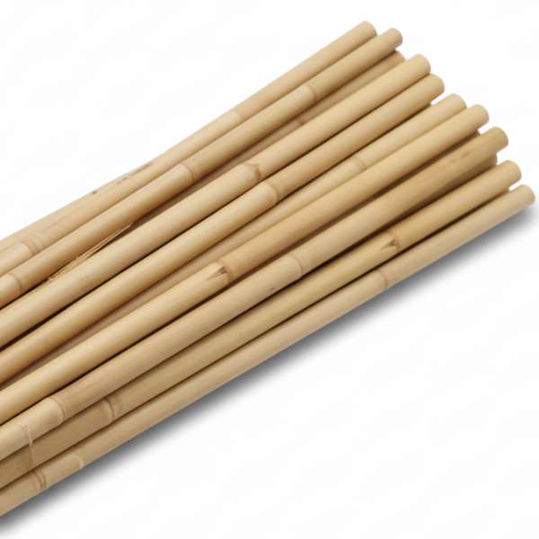 Full Diameter Bamboo Canes - 1500mm (5ft) Length (Multi-diameter Up to 24mm) - Heavy-duty Support for Commercial Trellis, Orchards & Freestanding Trees
