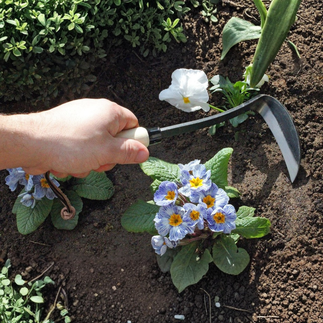 Burgon & Ball - Left-Handed Razor Hoe – High-Performance Japanese Stee