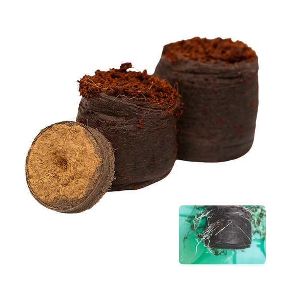 Coir Seed Starters 36mm – 100 Bulk Bag – Peat-Free Biodegradable Pellets for Fast, Healthy Germination