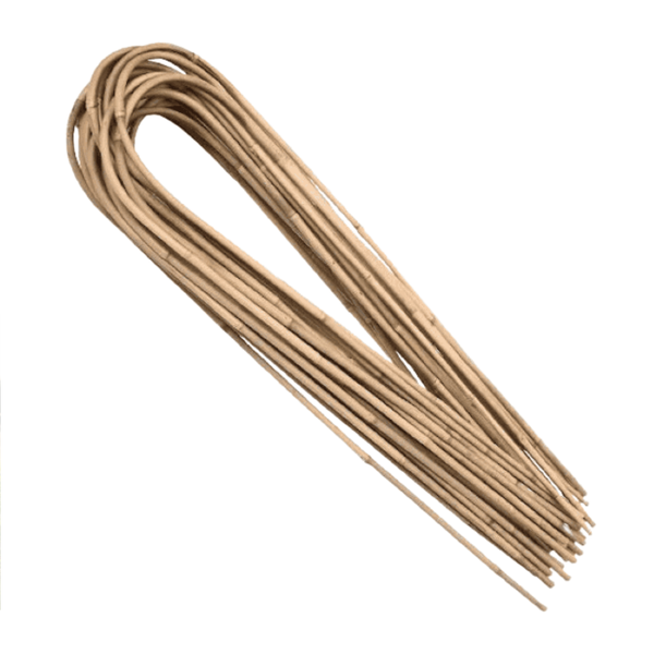 U-shape Bamboo Plant Trainer - 600mm Height (12/14mm Dia.) - Natural Aesthetic Support for Potted Vines & Indoor Climbers