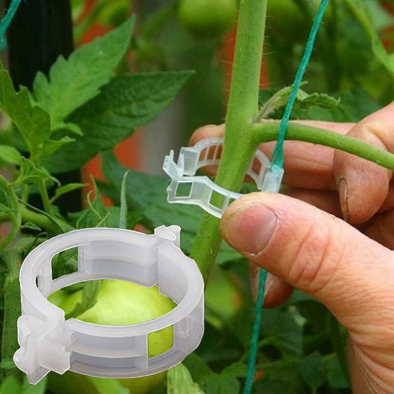 Garden Plant Clips 1 cm | Garden Supplies | Greenhouse & Polytunnels