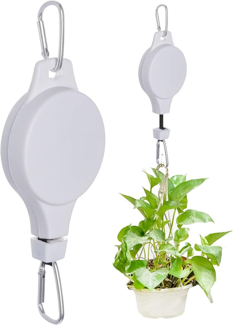 Bird Feeders