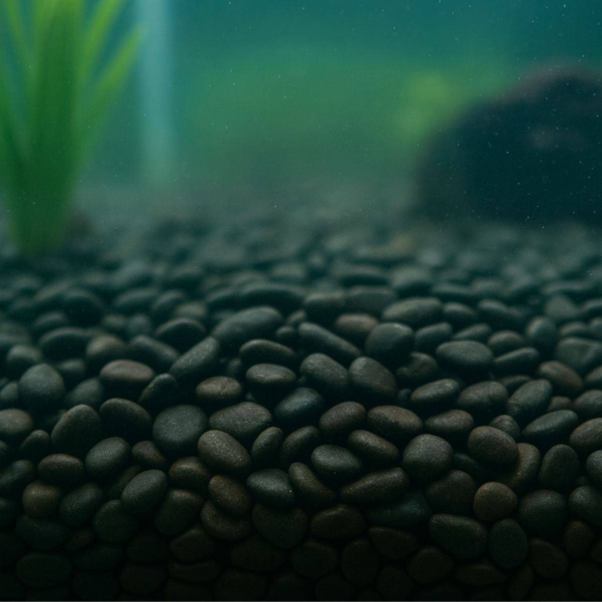 Showmaster 4-6mm Black Pebbles 5kg | Greenhouse & Polytunnels