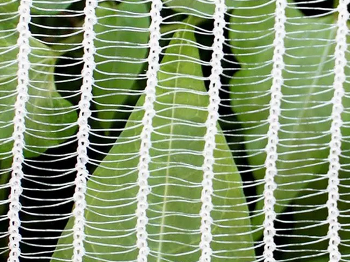 Crossweave - Bird Netting - 70GSM by Greenhouse & Polytunnels