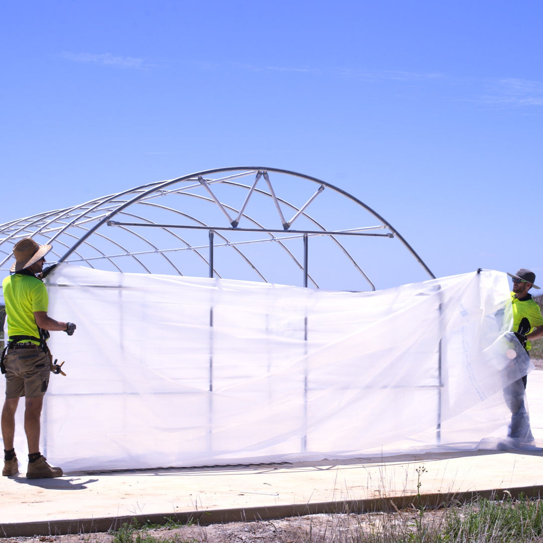 Greenhouse Film Plastic - 250 Microns - Product