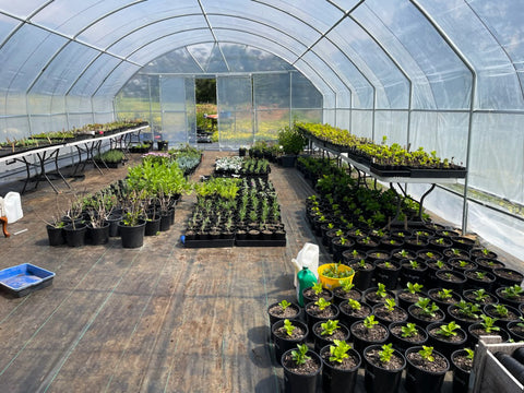 (Indoor) Propagation Supplies