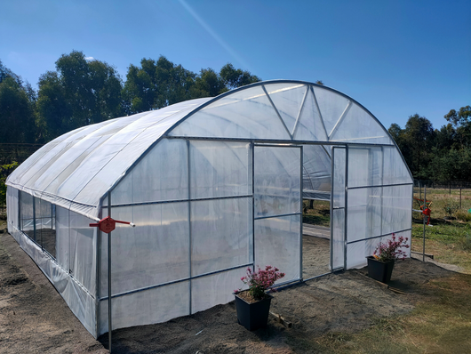 large greenhouse with  two pot plants in front of it