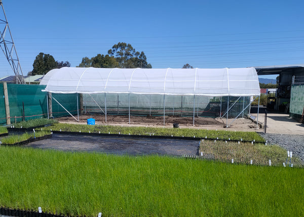 Greenhouse shade house with plants on a sunny day