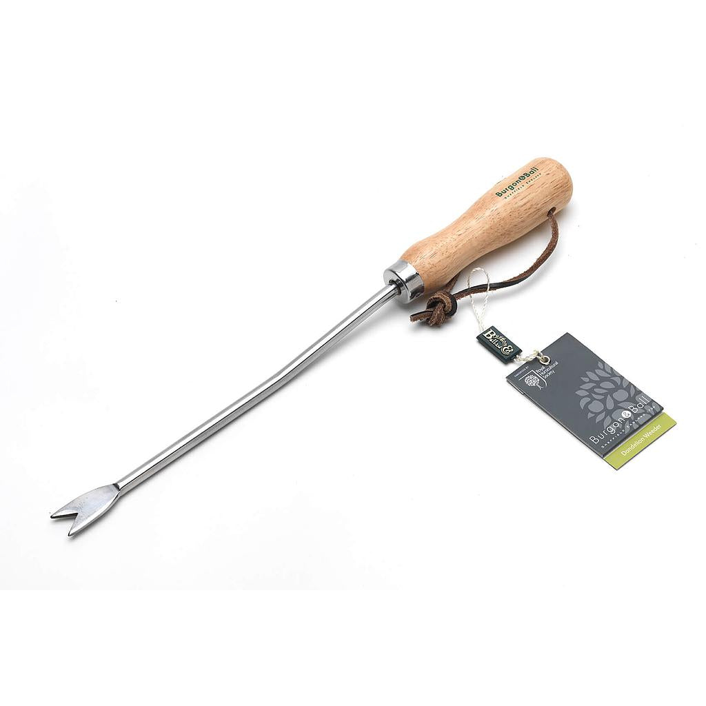 Burgon & Ball - RHS Stainless Dandelion Weeder – Professional Taproot