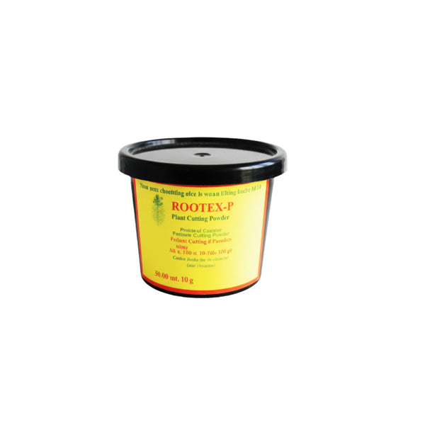 Rootex Rooting Powder 250gm – Large Retail Pack for Reliable Root Initiation