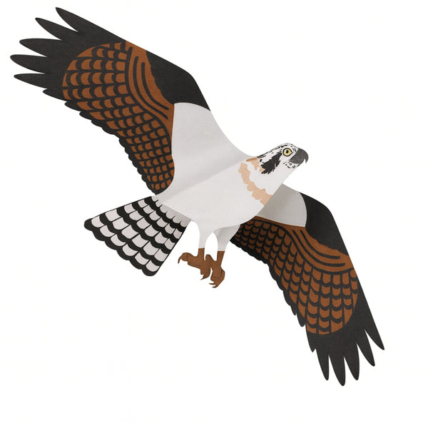 Osprey Jackite - 1,100mm Wingspan - Dynamic Bird Scaring Kite for Crop and Fish Pond Protection