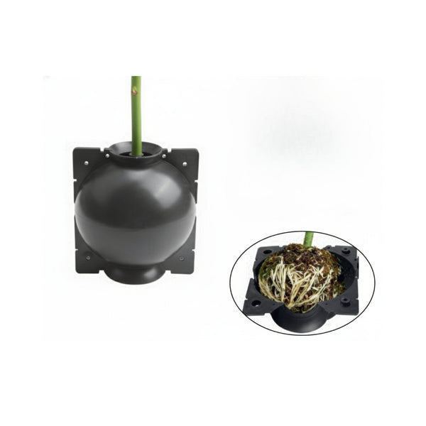 Air Layeirng Capsule – Small (Pack of 5) for 6–8mm Stems