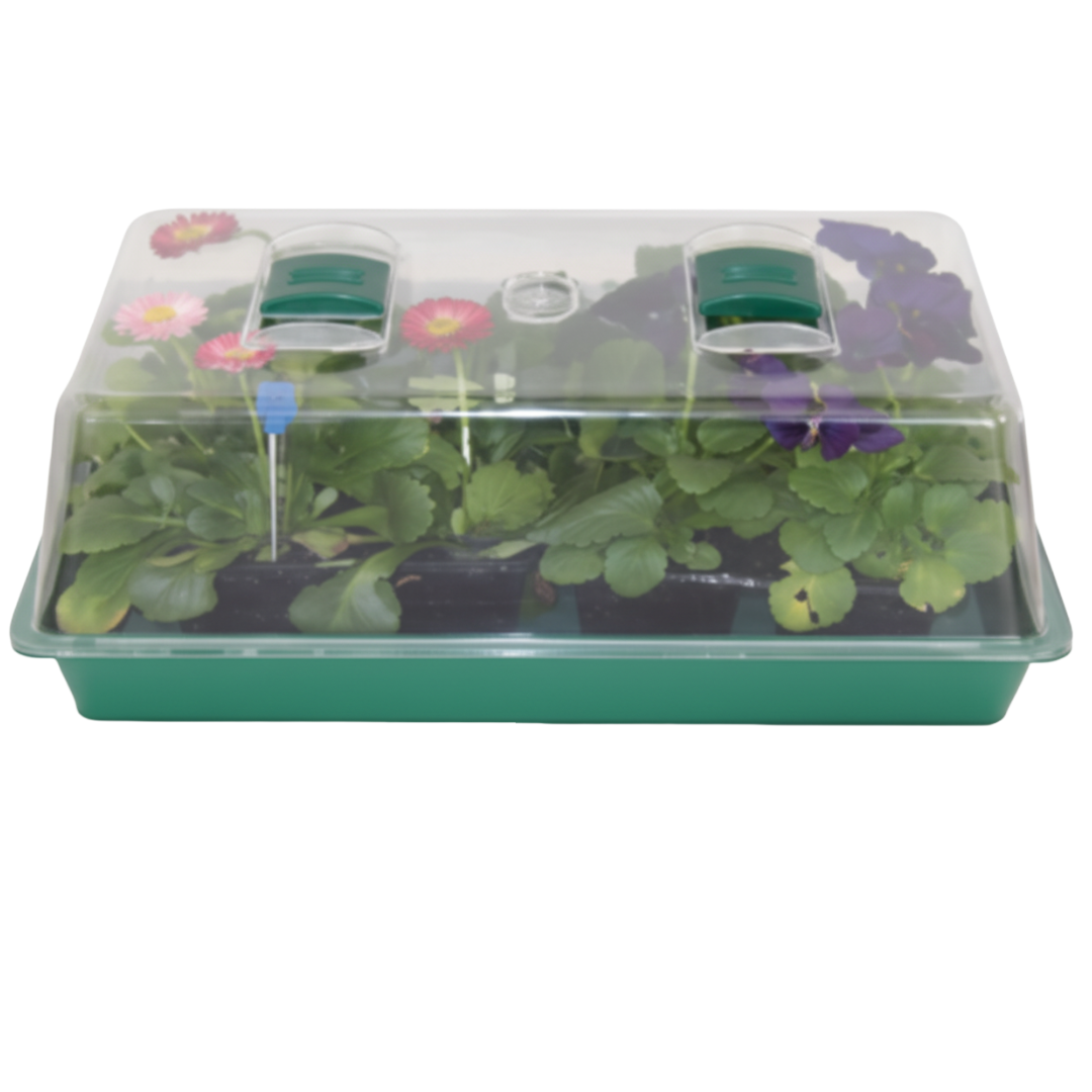 Medium Propagator Box – 24 -Cell Seed Raising Kit | Greenhouse ...