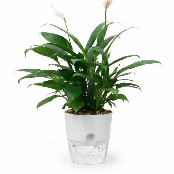 White 100MM Self Watering Wicking Pot – Durable & Easy-Care Indoor Planter