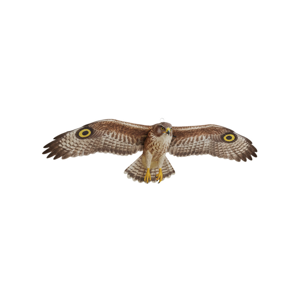 Hawk Birdscarer – Life-Sized Fluttering Goshawk Decoy