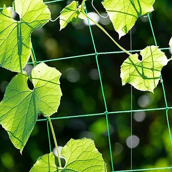 Vegetable Support Net - Green HDPE Climbing Plant Trellis