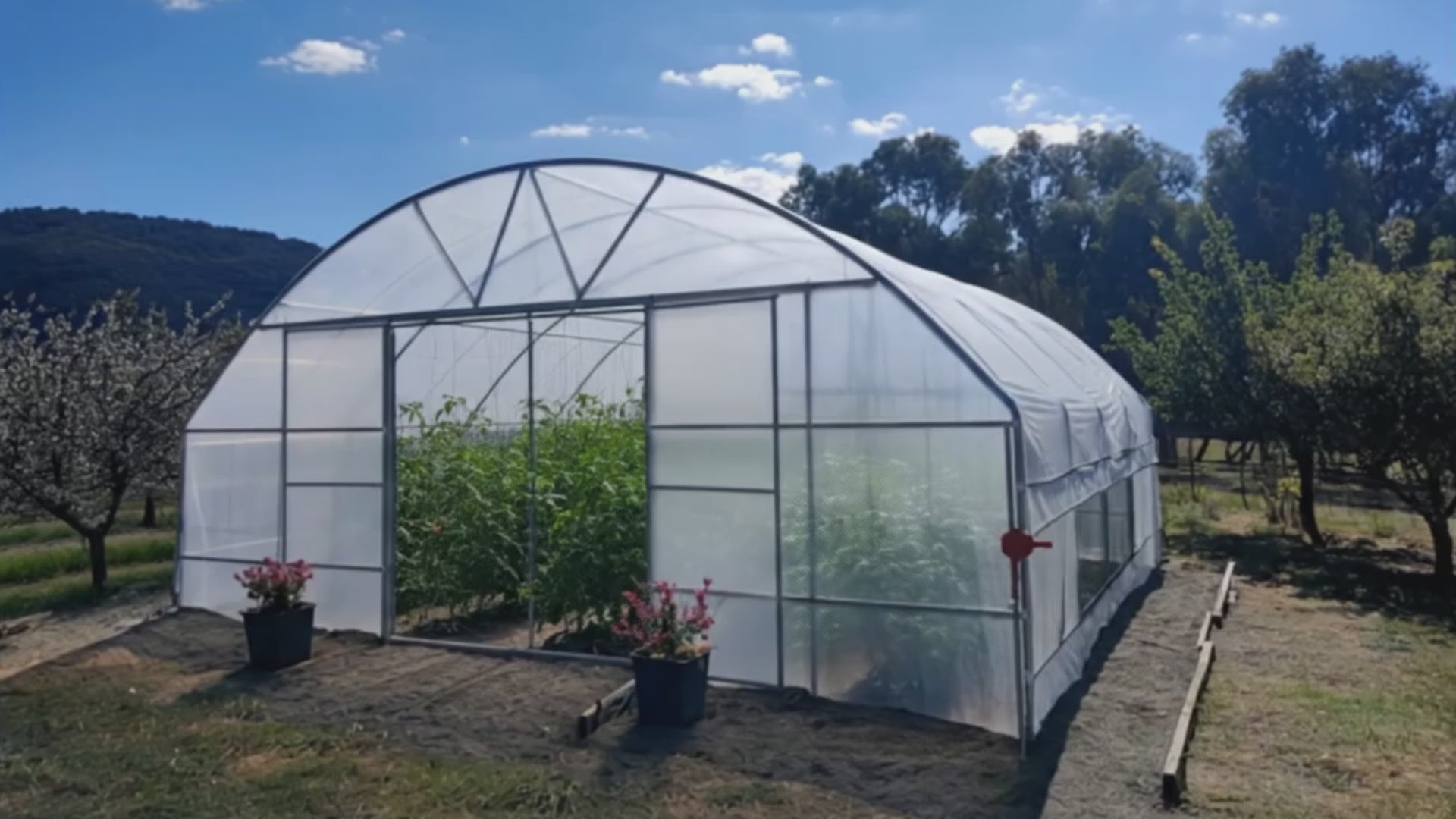 Pro Polytunnel Greenhouse | Commercial-Grade Strength for Harsh Conditions