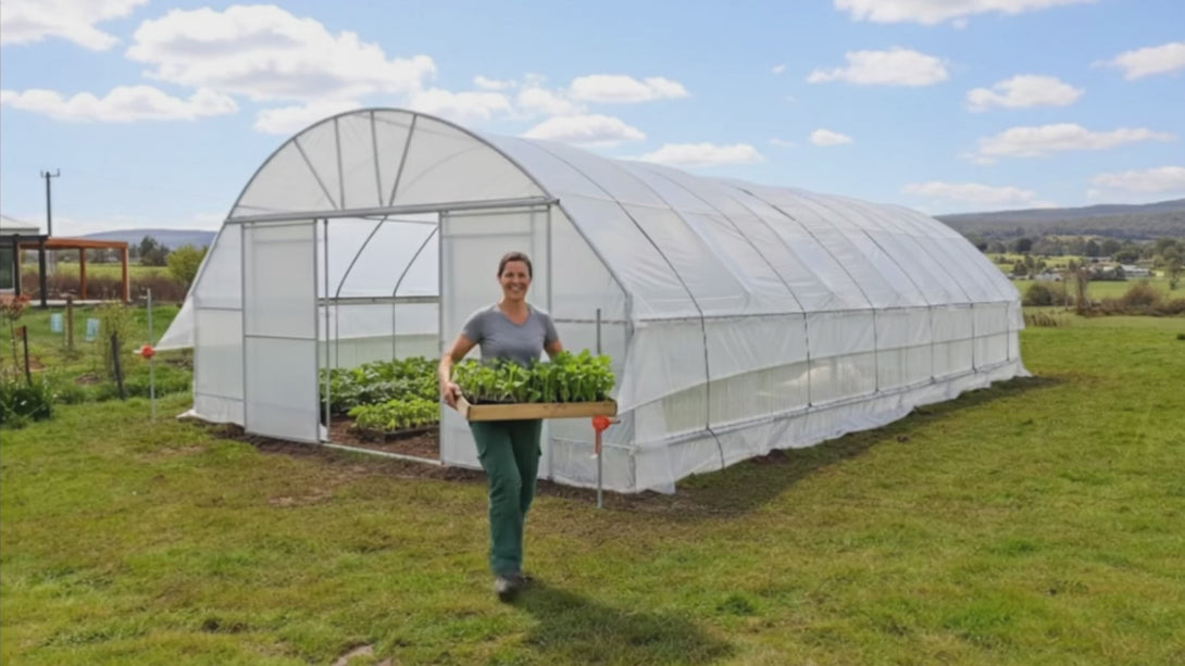 greenhouse on green grass with a lady hold veggi