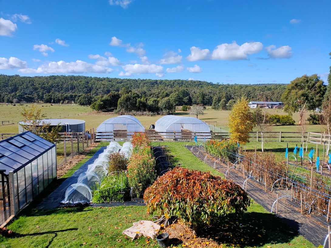 two Polytunnel Kits in a backyard