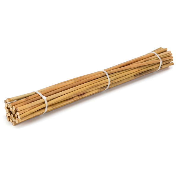Natural Bamboo Canes (12 Pack) - 1800mm (6ft) Length (Ultra Heavy-duty) - Ultra Heavy-duty Vertical Support for Tall Crops & Large Vines